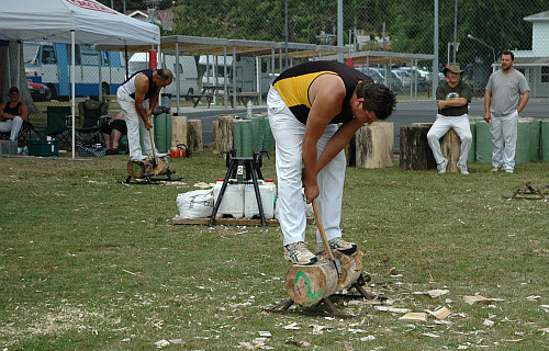 Wood chopping contest Paeroa Highland Games